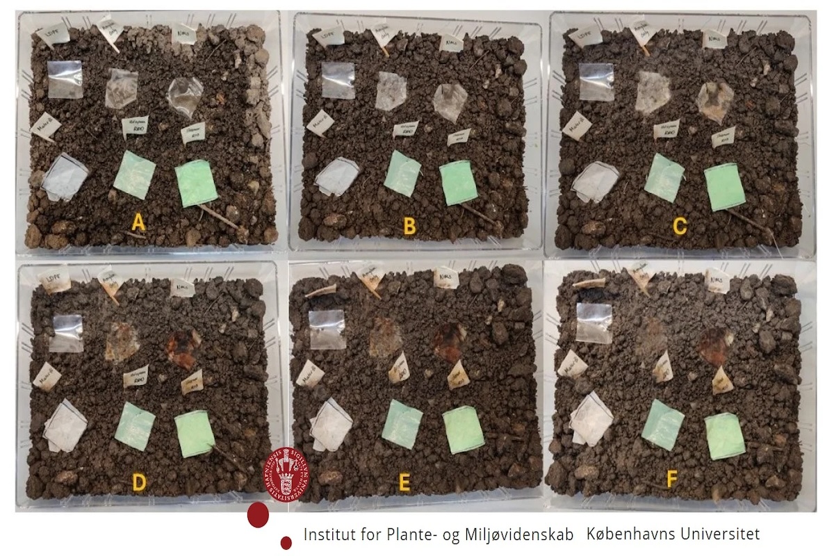 Plastica d’orzo biodegradabile, ecco come può aiutare l'ambiente