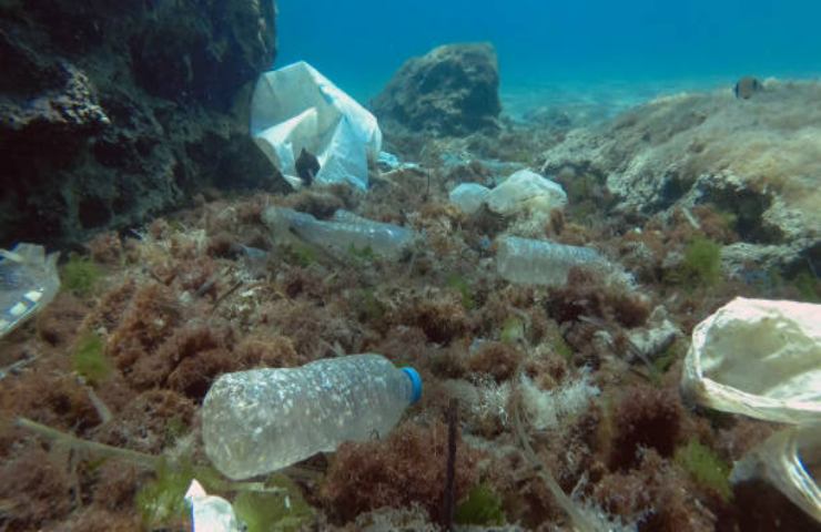 Plastica in mare