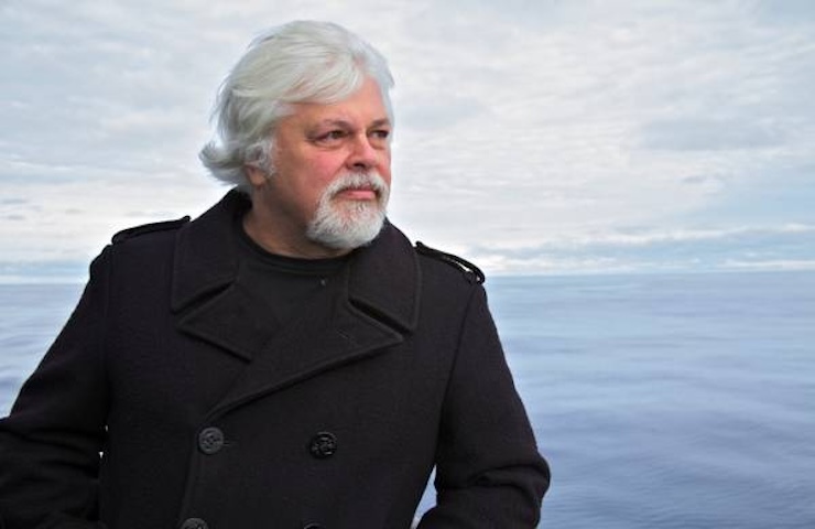 Paul Watson, l'ambientalista in carcere per aver difeso le balene