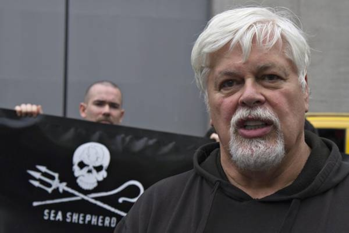 Paul Watson, l'ambientalista in carcere per aver difeso le balene